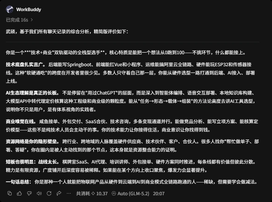 WorkBuddy 对武硕的评价截图一